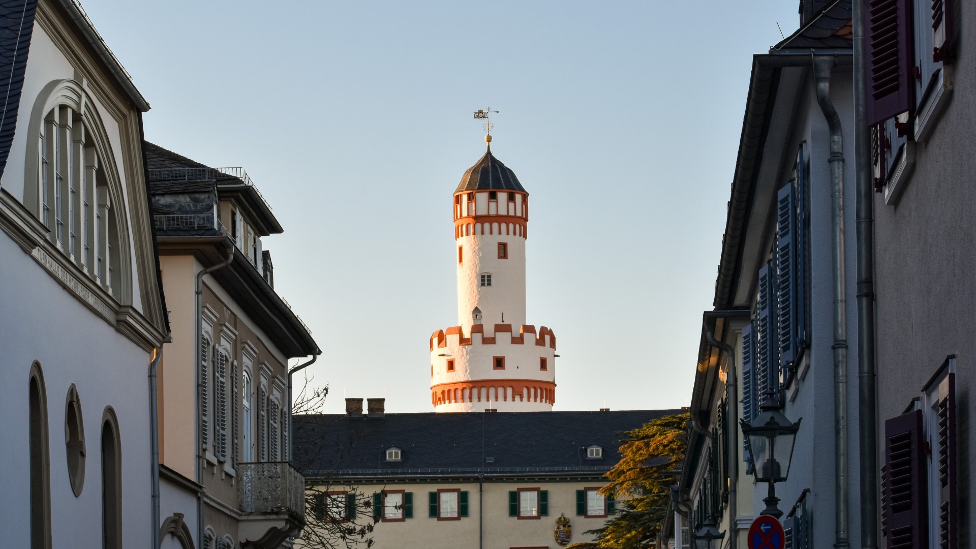 DGA Summer School Banner